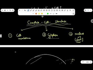 Cell Basics and Cell Theory Explained | Biology Fundamentals