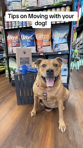 Unlock some tips from our Animal Care Experts on #MovingWithPets, this time with your dogs! 🐕 Here's how you can prioritize safety and stress management during this exciting change in your lives. Check out the digital guide for more tips as you start your new home journey 📦 (link in bio) | Pet Valu