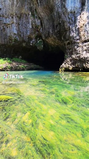 📍 Cave Spring • Accessible via Cave Spring Loop Trail, or the Current River (between Akers Ferry & Pulltite Campground). • 19th largest Spring in Missouri • 32 million gallons flow per day • One of the many majestic springs that feeds the Current River, others include (from North to South): ° Montauk Spring ° Medlock Spring ° Welch Spring ° Pulltite Spring ° Fire Hydrant Spring ° Round Spring ° Ebb and Flow Spring ° Powder Mill Spring ** ° Blue Spring ° Big Spring ** Previously Featured #Missou