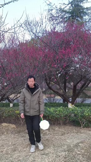 Guide to Taking Stunning Photos for Every Occasion