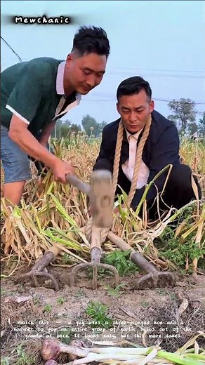 One Move Digs Up Bunch of Garlic! 🧄🔨 #Harvesting**