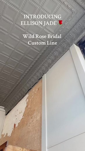 Introducing Wild Rose Bridal custom line, Ellison Jade! 🌹 Which new arrival is your favorite?! #wildrosebridal #wedding #yestothedress #engaged #bridetobe #fyp #weddingdress #ellisonjade | Wild Rose Bridal Mount Carmel