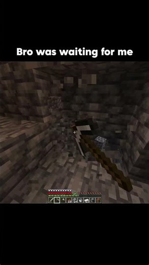 It was planned 😭 #minecraft #minecraftmemes