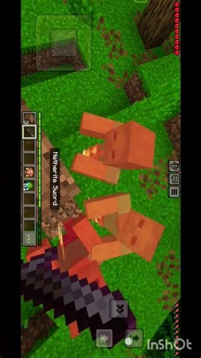 CRAZY MOD FROM ADDONS FOR MINECRAFT