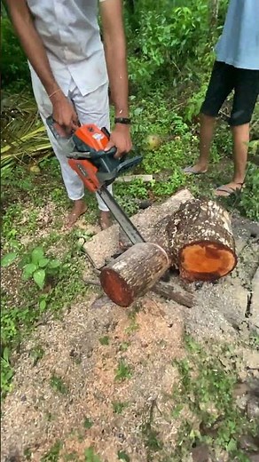 What's the REAL Danger of Using a Chainsaw for Beginners?