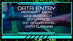 A high quality data entry, pdf to excel or word