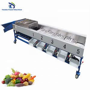 [Hot Item] High-Performance Fruit and Vegetable Size Sorting System