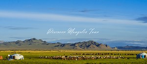 10 Best Mongolia Tour Operators 2024 [Unbiased & With Reviews] - TravellersQuest