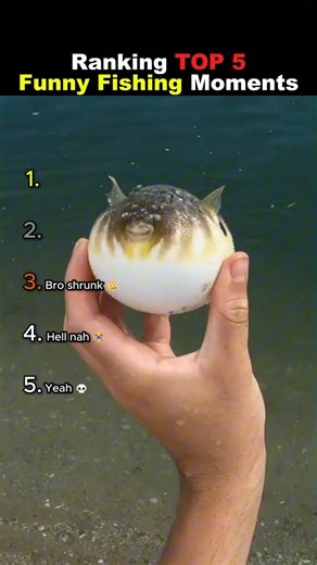 Ranking TOP 5 Funny Fishing Moments #usa