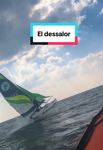 Catamaran Capsize: A Sailing Mishap