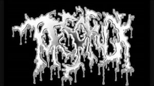 RAPED BY ELEPHANTS Lyrics - TORSOFUCK | eLyrics.net