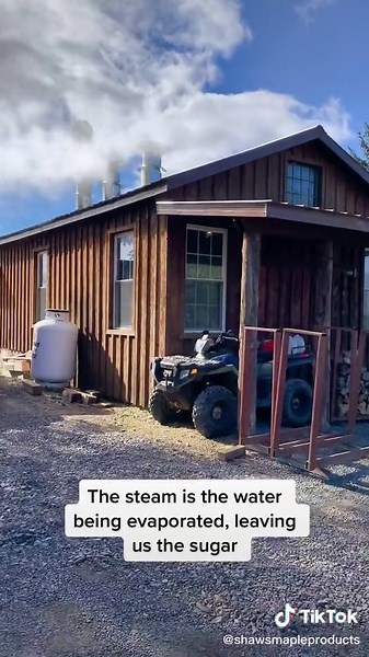 Making maple syrup! #smallbusiness #mapleseason #fyp #sugar #march #upstateny