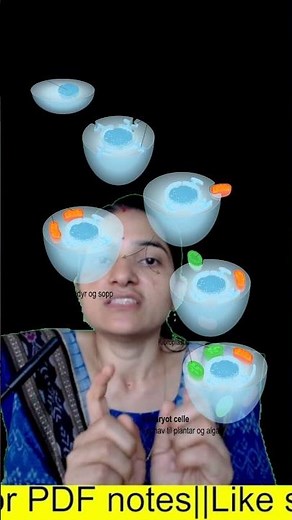 Endosymbiotic Theory Explained | Lynn Margulis' Endosymbiotic Theory||bsczoology#shorts#microbiology