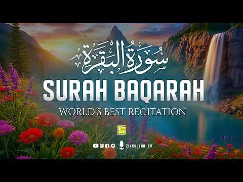 Surah Al-Baqarah Full (سورة البقرة) | Ultimate Most Beautiful Heart Melting Quran #baqarah