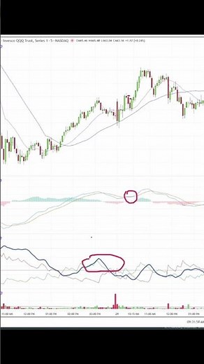MACD Signals for Trading #stocks #macd #momentum #tradinghacks