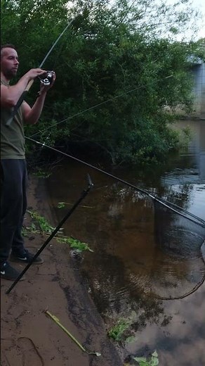 BARBEL FISHING. ANOTHER BITE!