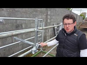 Cattle crush anti backing bar