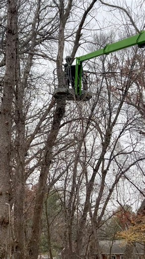 Stopped at a job site to see the SD64 by NiftyLift in action check it out! Reach out today for all your equipment needs our sales team is here to help TopNotchEquipment Rogers, Mn (763)398-0079 #tne #niftylift #CMC #castloader #jeffreyoutside #treestararborist | Top Notch Equipment