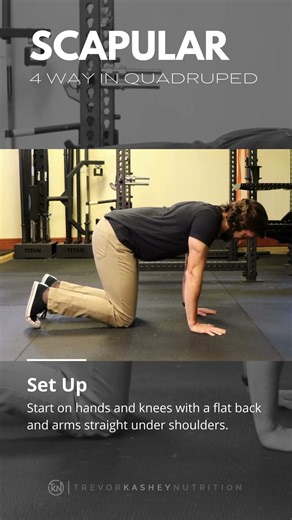 Scapular 4 Way in Quadruped - TKN
