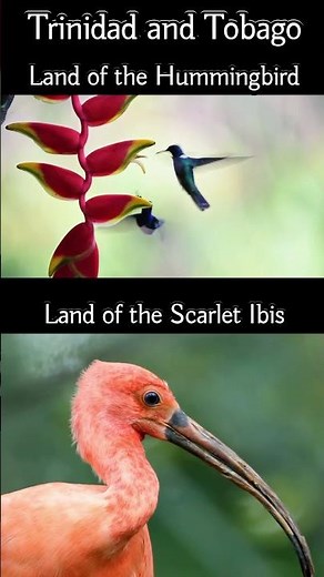 David Rudder- Calypso Music- A Loving Tribute to Trinidad & Tobago!