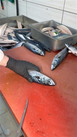 The doctor recommended he eat fish three days a week, so he came to buy mackerel! #fishing #adver...