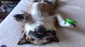 Hittin the snooze button on a Friday morning | ViralHog