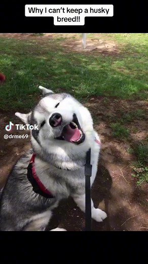 cj (@cj47828)’s videos with original sound - cj