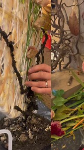 16 reactions | It’s not just about learning techniques, but using them to their full potential and with purpose. This September we start a new cycle of EMC Fundamentals Online. Info and registration on our website. No basta con aprender técnicas, sino usarlas en todo su potencial y con propósito. Este septiembre inicia un nuevo ciclo de EMC Fundamentals Online. Info e inscripciones en nuestra web. | European Master Certification | Facebook