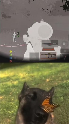 Bros command save the t7 first 😅 | Arena Breakout | #shorts