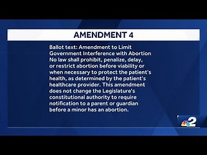 Getting the facts on confusing Florida Amendment 4 ads