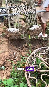 #art #agriculture | Yvonne Christian