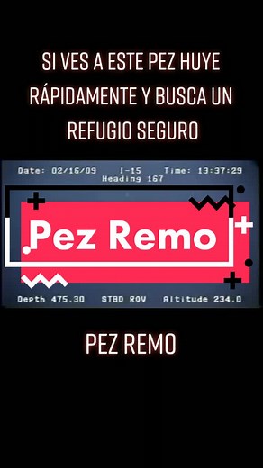 El pez que nos advirerte de catástrofes naturales #miedotiktok #misterios #sobrenatural #criaturasextrañas