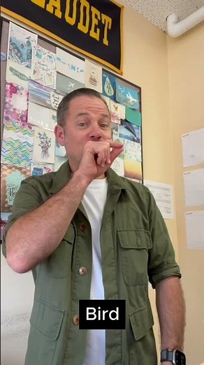 How to Sign "Bird" in ASL