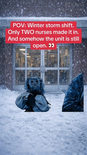 POV: A winter storm hits and only two nurses showed up. The unit is still open. The assignment doubled. Management: “You got this.” ❄️🩺 #POVNurse #NurseTok #WinterStorm #NurseLife #HealthcareHumor