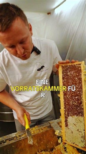 Warum verdeckeln Bienen eigentlich ihren Honig? 🍯✨ Das genialste Siegel der Natur!