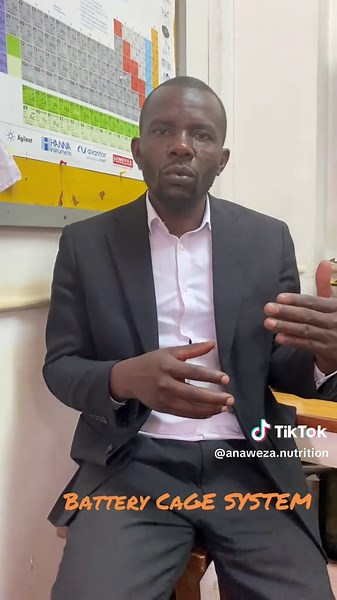 Innovative Battery Cage Systems in Uganda's Farming