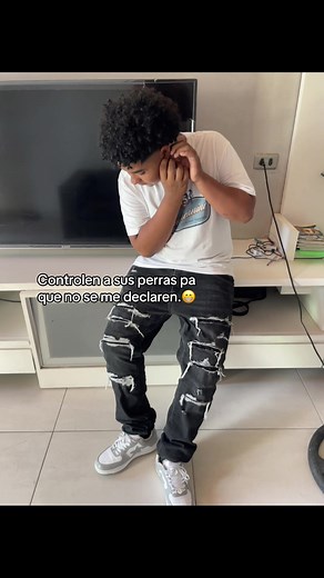 Controlen a sus perros para evitar problemas
