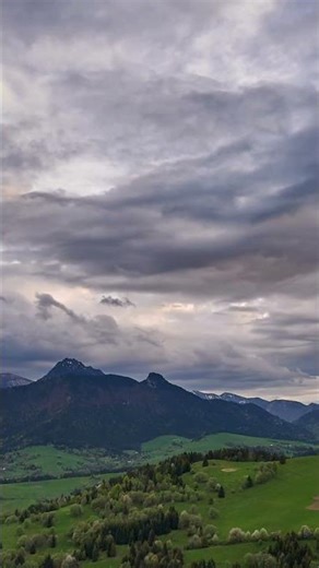 After Rain Bliss: Stunning Green Spring Bloom | Cinematic Nature Escape