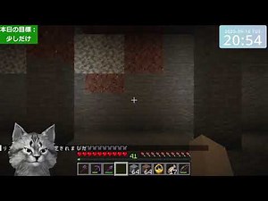 Minecraft test (Java Edition 1.21.8)