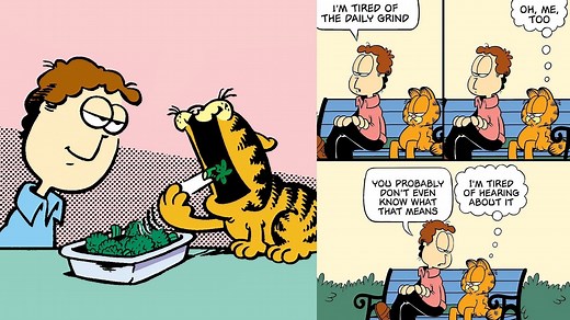 What is Garfield's owner's name? Exploring his ability to understand the cat