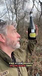 4.6K views · 251 reactions | Tapping Birch trees Tapping a Birch...