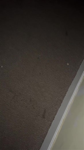 Discover Cool Ringtones and Tutorials