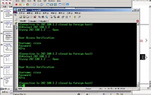 抓包软件Sniffer Pro的使用教程（五）