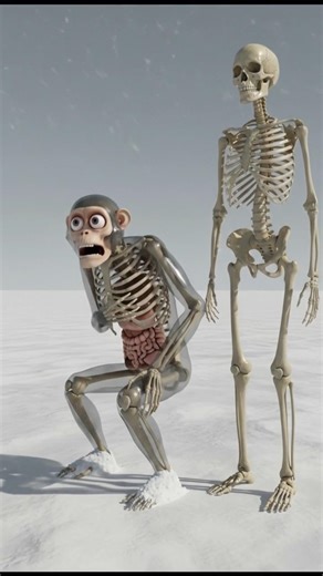 24 Hours in Extreme Cold… Monkey vs Human 🥶#MonkeyVsHuman #ExtremeChallenge