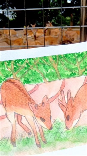 Watercolor 動物園で鹿のスケッチを描いてみた