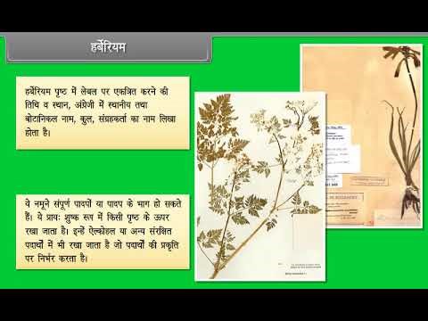 The Living World Part-2 Class 11 Biology (Hindi)