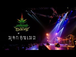 มุดก้อนเมฆ - มาลีฮวนน่า - คอนเสิร์ต 26 ปี มาลีฮวนน่า เพื่อนกัญ ไว ฉะ กัญ