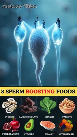 What are the BEST Foods for Improving Sperm Motility and Male Fertility?