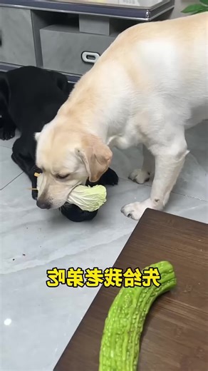 user4911782600713 (@user4911782600713)’s videos with original sound - user4911782600713