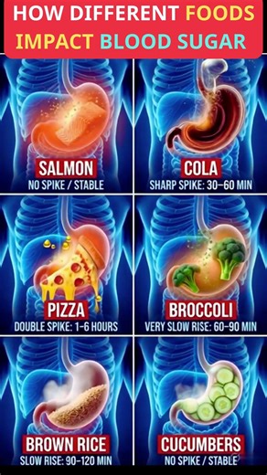 How Different Foods Impact Blood Sugar